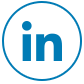 Big LinkedIn Icon