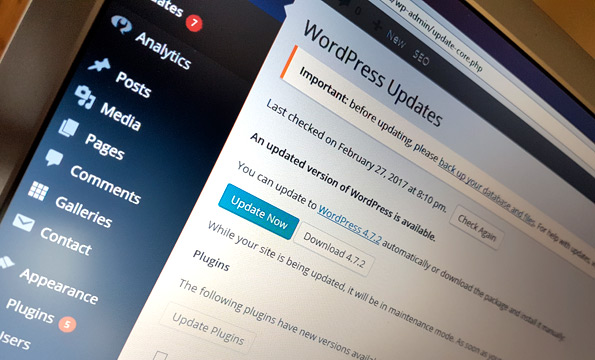 WordPress Management & Updates