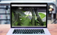 Great Lakes Greenhouses Web Design